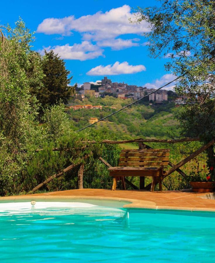 Agriturismomillefiori Manciano Εξωτερικό φωτογραφία