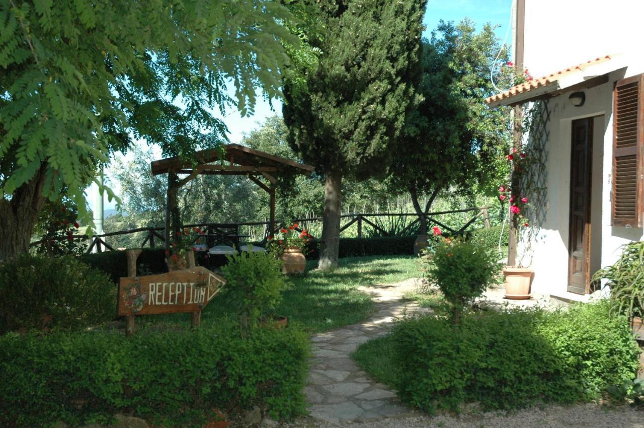 Agriturismomillefiori Manciano Εξωτερικό φωτογραφία