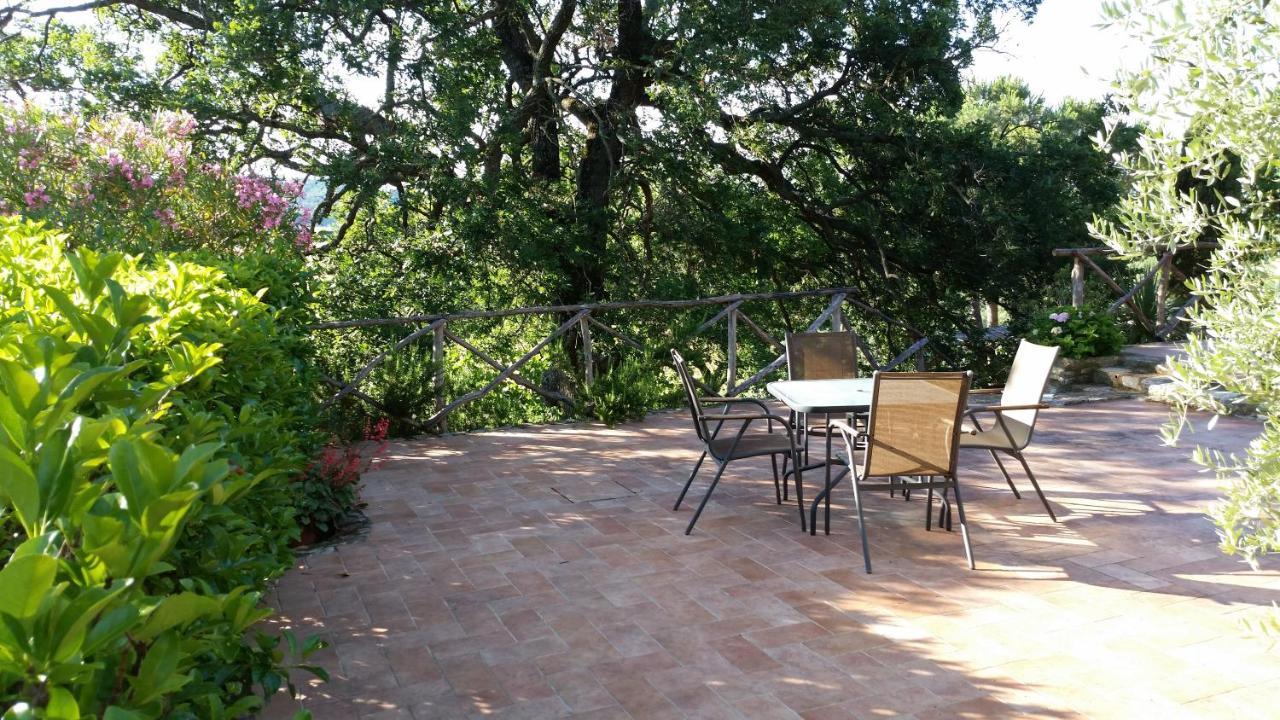 Agriturismomillefiori Manciano Εξωτερικό φωτογραφία